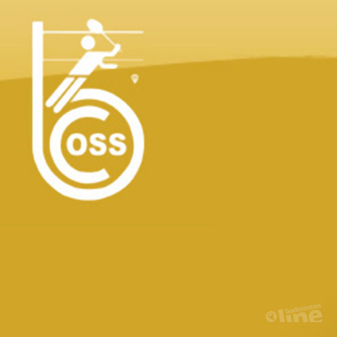 BC Oss op zoek naar 3e divisie dames BC Oss op zoek naar 3e divisie dames