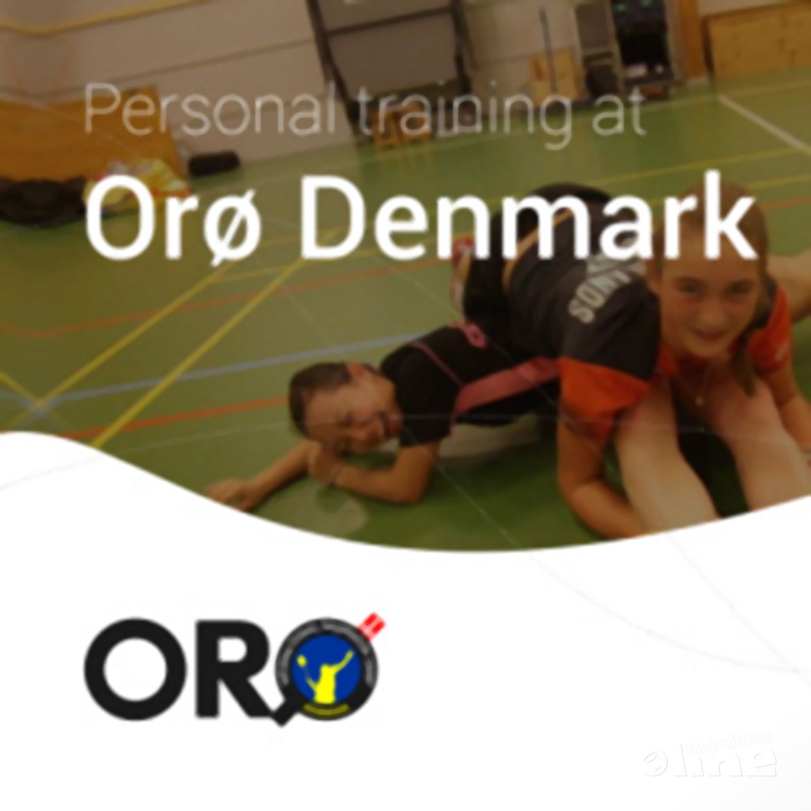 Persoonlijke training op OroDenmark Persoonlijke training op OroDenmark
