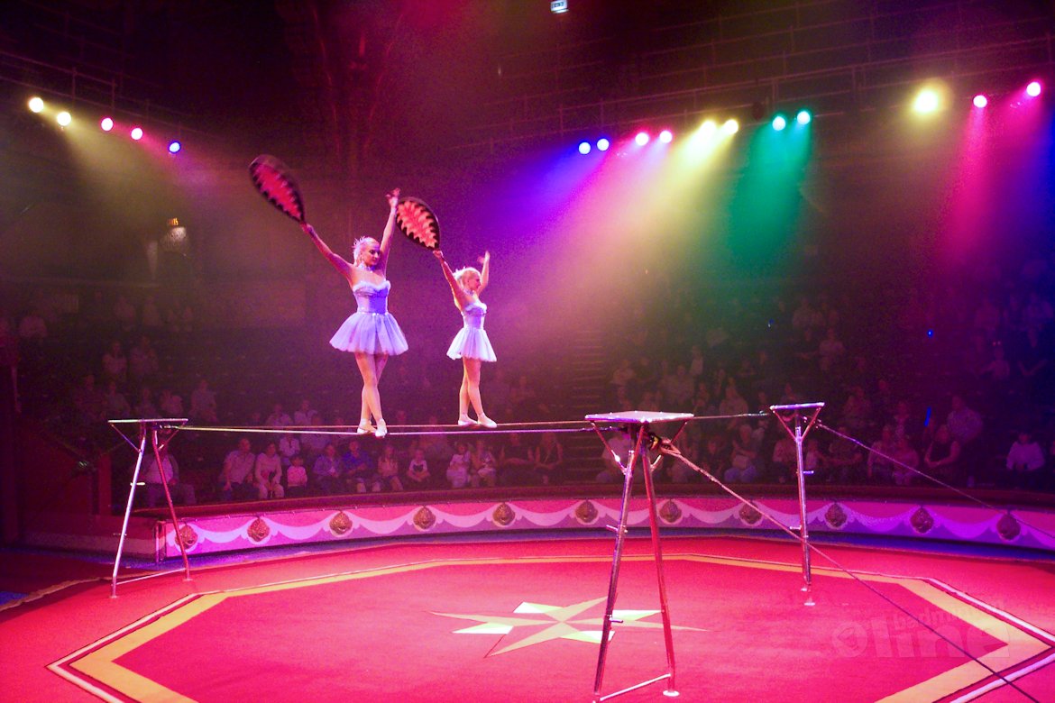 Frontal lobe dominance and sports - Is overanalyzing killing your sporting prowess? Frontal lobe dominance and sports - Is overanalyzing killing your sporting prowess?