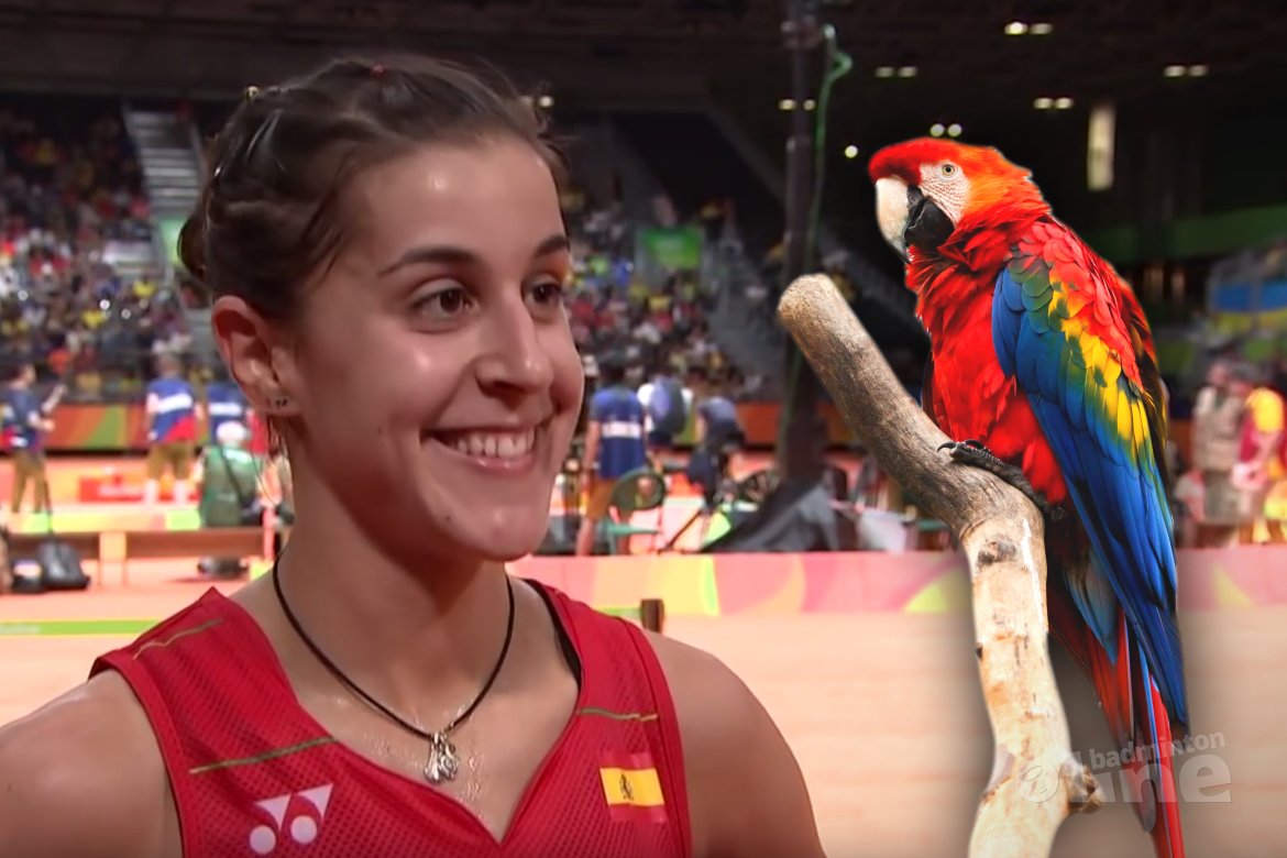 Denmark Open 2016: Carolina Marin schreeuwt als een schorre papegaai Denmark Open 2016: Carolina Marin schreeuwt als een schorre papegaai