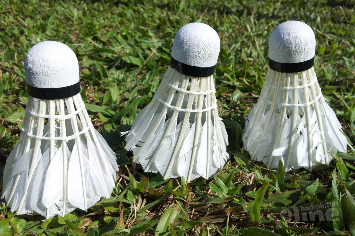 De ontwikkelingpuzzel van jeugdbadmintonners - Deel III De ontwikkelingpuzzel van jeugdbadmintonners - Deel III