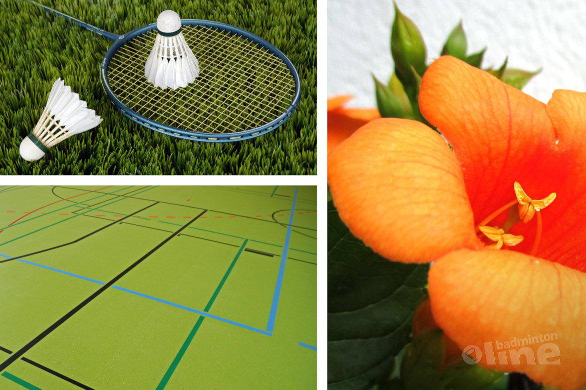 Wat doe jij deze zomer? Zomerbadminton of juist lekker buiten sporten? Wat doe jij deze zomer? Zomerbadminton of juist lekker buiten sporten?